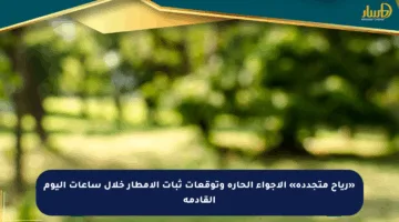 «رياح متجددة» الأجواء الحارة وتوقعات ثبات الأمطار خلال ساعات اليوم القادمة